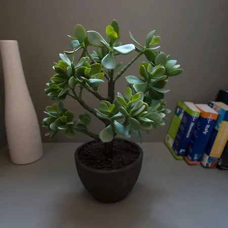 Apartment Merchants Street *